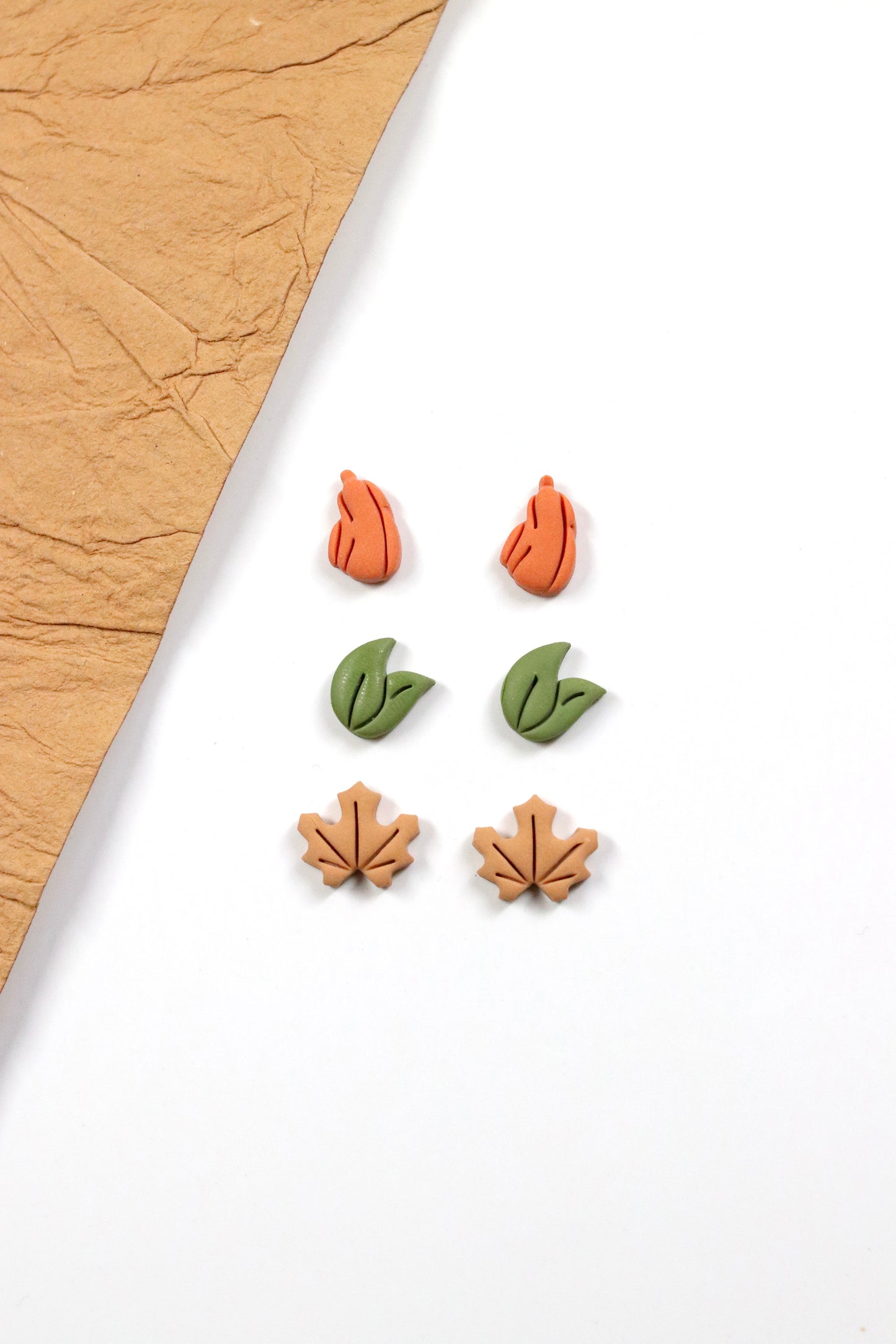 Organic Pumpkin Stud Pack