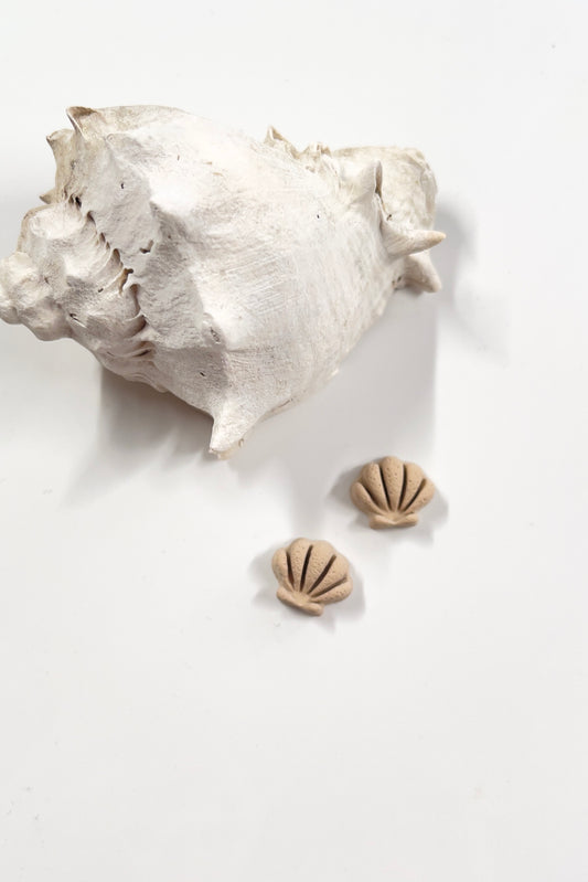 Seashell Stud Earrings